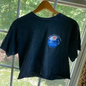 Brandy Melville Cropped Tee